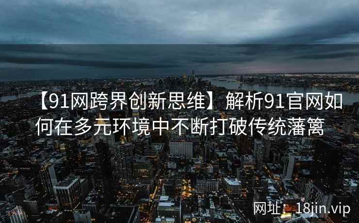 【91网跨界创新思维】解析91官网如何在多元环境中不断打破传统藩篱