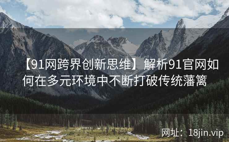 【91网跨界创新思维】解析91官网如何在多元环境中不断打破传统藩篱