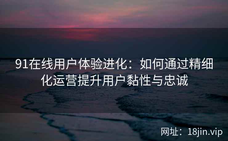 91在线用户体验进化：如何通过精细化运营提升用户黏性与忠诚