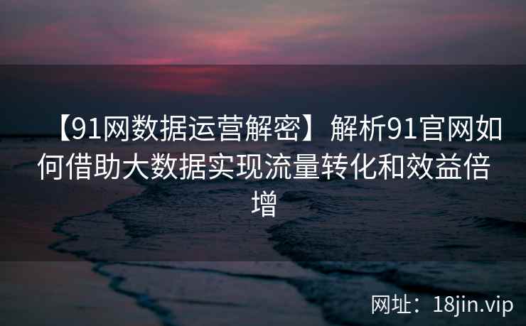 【91网数据运营解密】解析91官网如何借助大数据实现流量转化和效益倍增